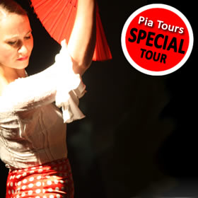 sevilla flamenco show dansen nederlands